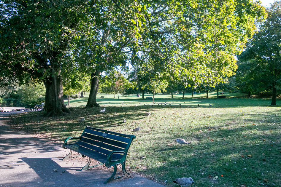 Natural surroundings of Brighton Park in the sunlight